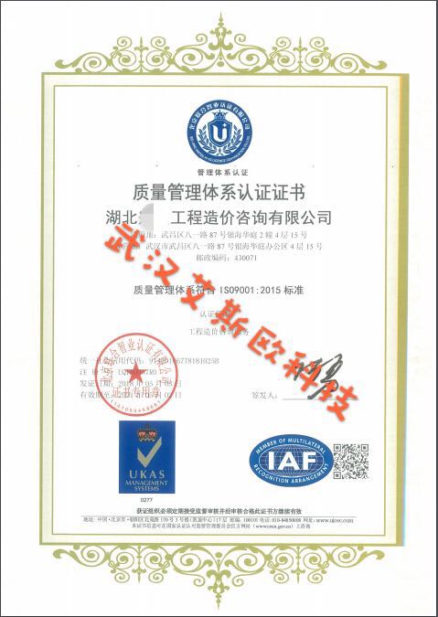 武汉艾斯欧ISO认证证书