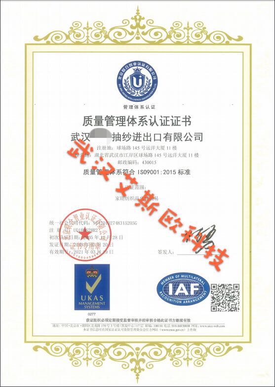 武汉艾斯欧ISO认证证书