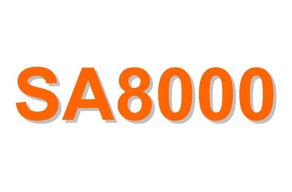  SA8000社会责任管理体系